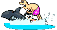 Requin surf